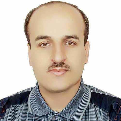 Photo of Hamed Bahrami